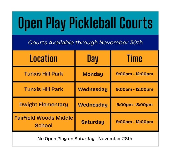 Open Play Pickleball